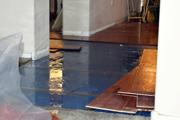 Professional Water Damage Restoration technician working in Elgin, OH